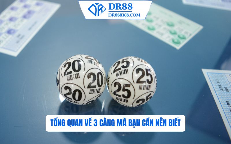 Tổng Quan Về 3 Càng Bạn Nên Biết