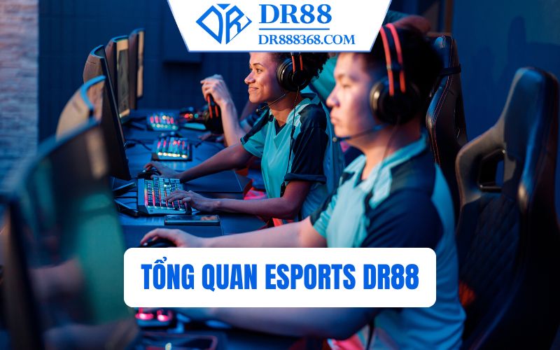 Tổng quan Esports DR88