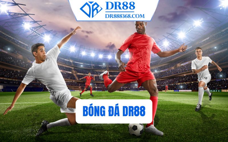 Bóng đá DR88